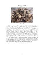 Referāts 'Leonardo da Vinči. Dzīve un slavenākie darbi', 11.