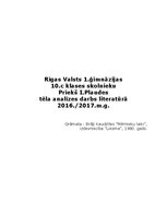 Referāts 'Romāna "Mērnieku laiki" Pietuka Krustiņš', 1.