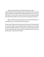 Referāts 'Romāna "Mērnieku laiki" Pietuka Krustiņš', 4.