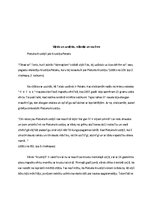 Referāts 'Romāna "Mērnieku laiki" Pietuka Krustiņš', 6.