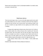 Referāts 'Romāna "Mērnieku laiki" Pietuka Krustiņš', 20.