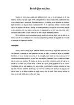 Referāts 'Līderi - biznesa ledlauži', 8.