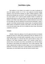 Referāts 'Līderi - biznesa ledlauži', 12.