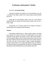 Referāts 'Līderi - biznesa ledlauži', 13.