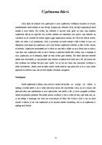 Referāts 'Līderi - biznesa ledlauži', 16.