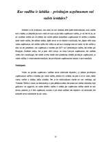 Referāts 'Līderi - biznesa ledlauži', 37.