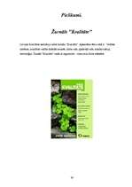 Referāts 'Līderi - biznesa ledlauži', 39.