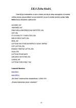 Referāts 'Līderi - biznesa ledlauži', 41.