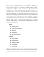 Referāts 'Hiperaktivitātes sindroms', 3.