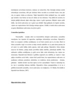 Referāts 'Hiperaktivitātes sindroms', 6.