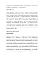 Referāts 'Hiperaktivitātes sindroms', 8.