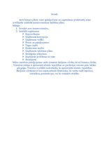 Biznesa plāns 'Komercviesnīca "Murano"', 2.