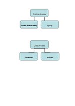 Biznesa plāns 'Komercviesnīca "Murano"', 10.