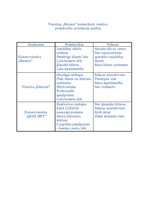 Biznesa plāns 'Komercviesnīca "Murano"', 13.