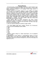 Biznesa plāns 'IU "Vectra"', 3.