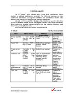 Biznesa plāns 'IU "Vectra"', 6.