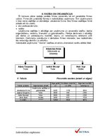 Biznesa plāns 'IU "Vectra"', 10.