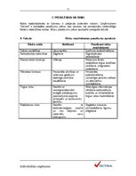 Biznesa plāns 'IU "Vectra"', 11.