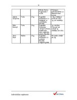 Biznesa plāns 'IU "Vectra"', 15.