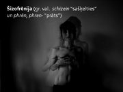 Prezentācija 'Šizofrēnija', 2.