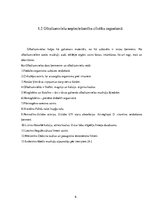 Referāts 'Olbaltumvielas uzturā', 6.