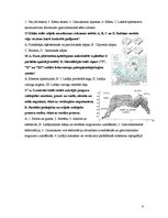 Konspekts 'Eksāmena atbildes ģeomorfoloģijā', 4.