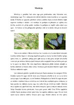 Konspekts 'Mīmikrija', 1.