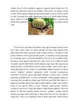 Konspekts 'Mīmikrija', 2.