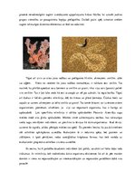 Konspekts 'Mīmikrija', 3.