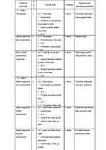 Konspekts 'Vispārattīstošo vingrinājumu komplekss', 2.