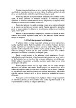 Referāts 'Nervu sistēmas loma kustību regulācijā sportā', 5.