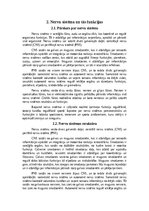 Referāts 'Nervu sistēmas loma kustību regulācijā sportā', 6.