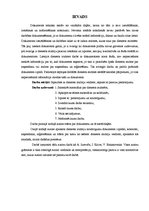 Referāts 'Dienesta atzīmes un to pielietojums darbā ar dokumentiem', 3.