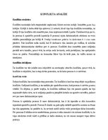 Konspekts 'Konflikta analīze', 1.