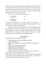 Referāts 'Atskaite par ekskursiju - betona rūpnīca Schwenk', 4.