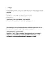 Referāts 'Troksnis un tā skaļums skolā', 4.