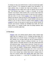 Referāts 'Troksnis un tā skaļums skolā', 13.