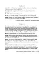 Konspekts 'Leksikas slāņi', 1.