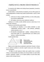 Referāts 'Vadīšanas lēmumi ētiskā aspektā', 9.