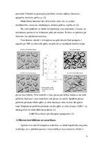 Referāts 'Betona trauslums un to samazināšanas paņēmieni', 5.