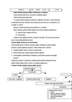Konspekts 'Saimniecisko operāciju dokumenti un uzskaites reģistri', 5.
