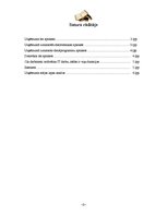 Eseja 'Uzņēmuma informācijas tehnoloģijas apraksts', 2.