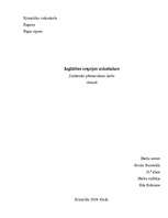 Referāts 'Izglītības iespējas viduslaikos', 1.