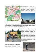 Referāts 'Automašīnu radītais piesārņojums', 8.