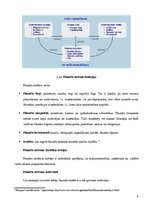 Konspekts 'Finanšu sistēmu raksturojums', 4.