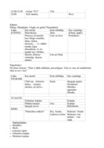 Konspekts '"Patiesība ir tur...." scenārijs', 5.