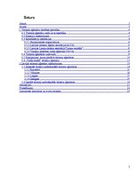 Referāts 'Latvijas tūrismu aģentūru darbības raksturojums', 2.