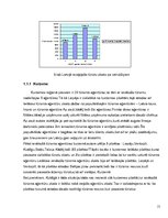 Referāts 'Latvijas tūrismu aģentūru darbības raksturojums', 15.
