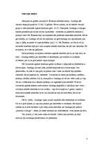 Referāts 'Intervija ar pusaudzi', 6.