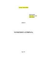 Referāts 'Notekūdeņu attīrīšana', 1.